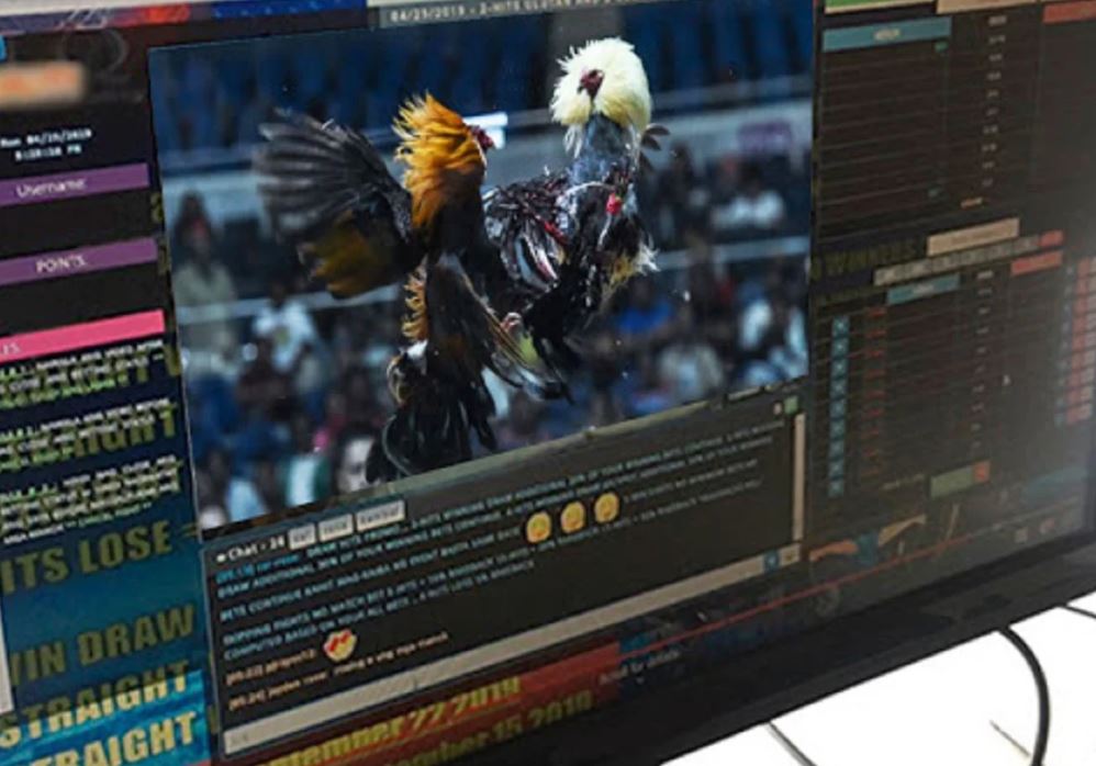 Đá Gà trực tuyến E2BET qua sảnh SV388